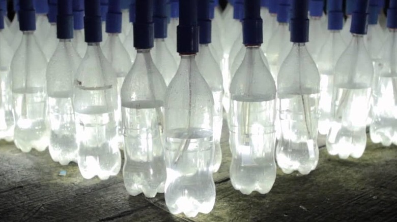 A group of plastic bottles hold water and solar panel lights.