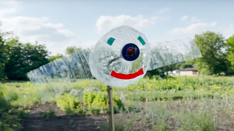 DIY garden scare device made from a plastic bottle with painted smiley face and spinning wings