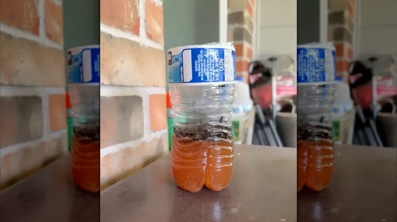 A homemade fly trap sits on a porch with a layer of flys inside.