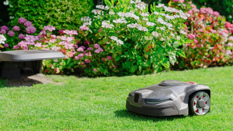 A robotic lawn mower mows a lawn.
