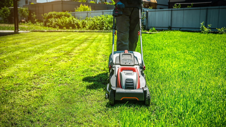 A gardener pushes a lawn mower across a yard of green grass.