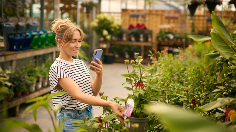 A blond haired woman in a black and white striped shirt using her mobile phone while shopping in a garden center