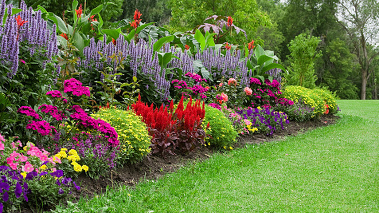 A flower garden thrives in summer.