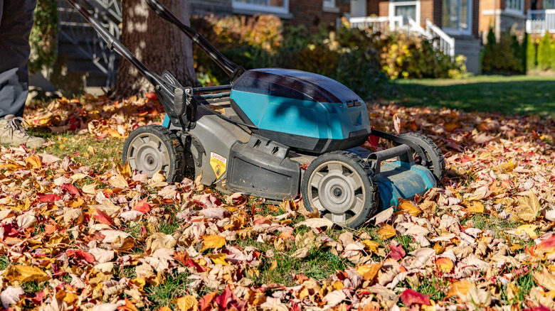 A lawn mower mows over fallen leaves.