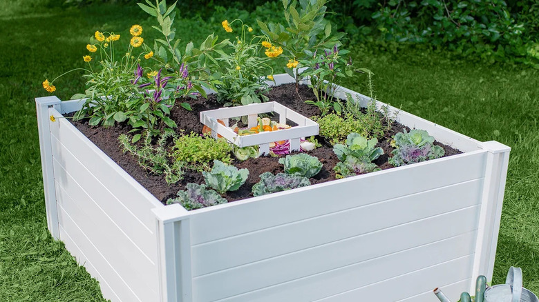 The white Vita Keyhole composting garden bed staged with assorted plants on a green lawn