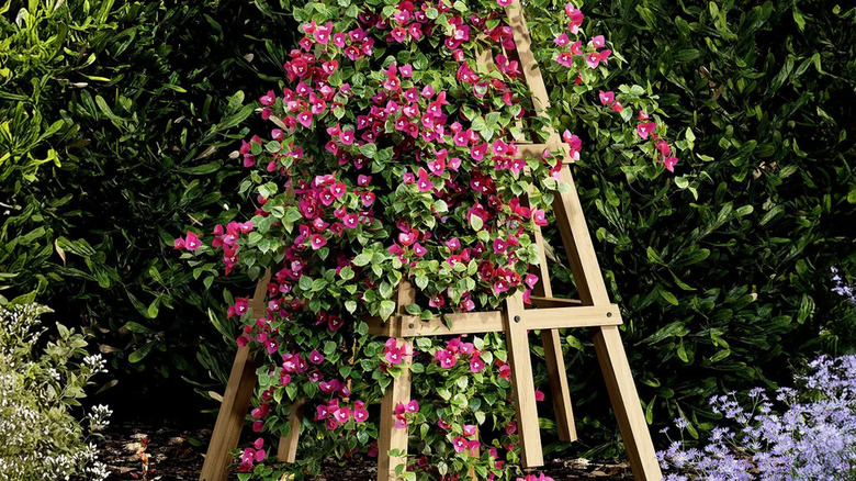 The Vita obelisk trellis staged with climbing dark pink flowers and green foliage