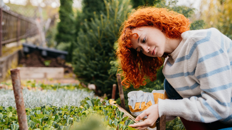 A woman in a sweater cares for an autumn garden.