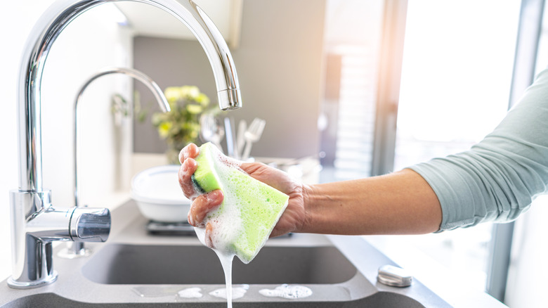 Woman squeezes out a soapy sponge in sink.