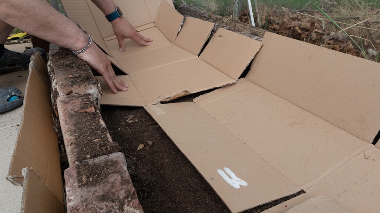 Person placing flattened cardboard sheets at the bottom of a raised garden bed