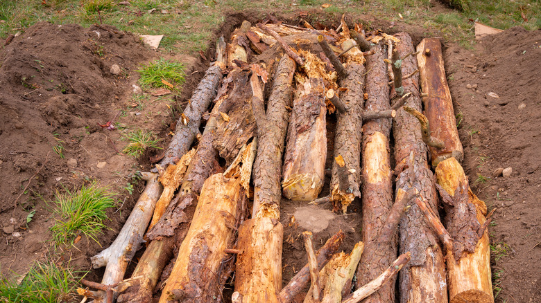 Pile of large tree logs laid inside a garden bed as part of a hugelkultur layering method