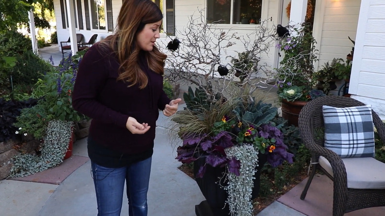 A woman stands next to a planter of eerie foliage plants. Toy crows decorate a nearby tree.