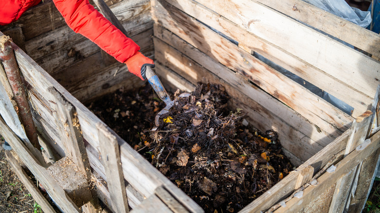 A gardener turns their compost pile in a wooden box.