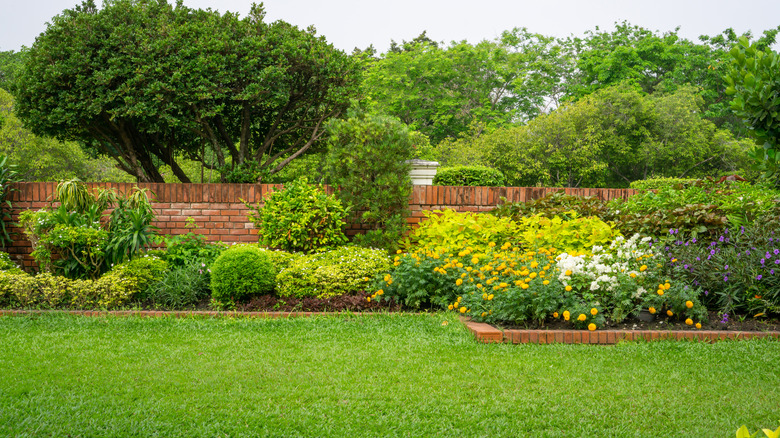 A healthy garden thrives in front of a brick wall with a green lawn in front of it.