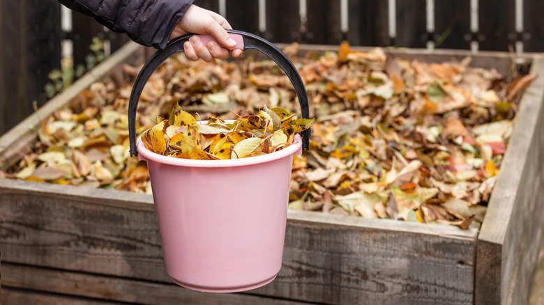 A bin is filled with autumn leaves.