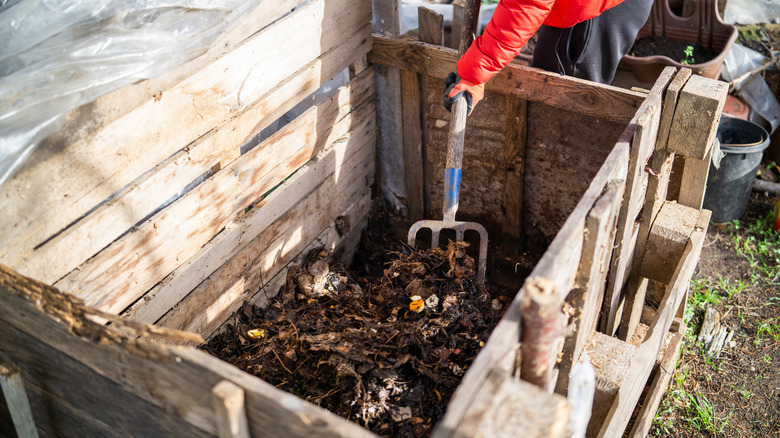 A gardener in a red jacket turning compost in a wooden bin with a rake