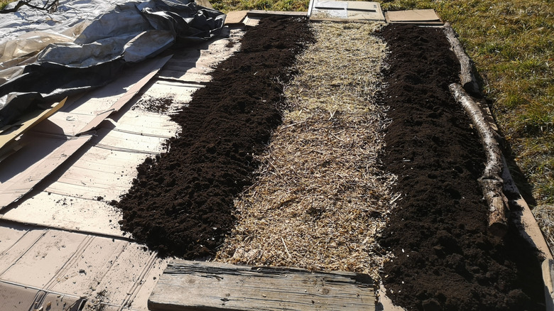 The start of a sheet compost garden with organic material layered over cardboard and grass