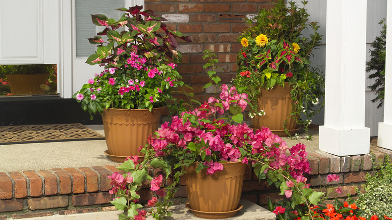 Three terra cotta porch planters full of red, yellow, and pink flowers and green foliage on a brick edged porch with white columns