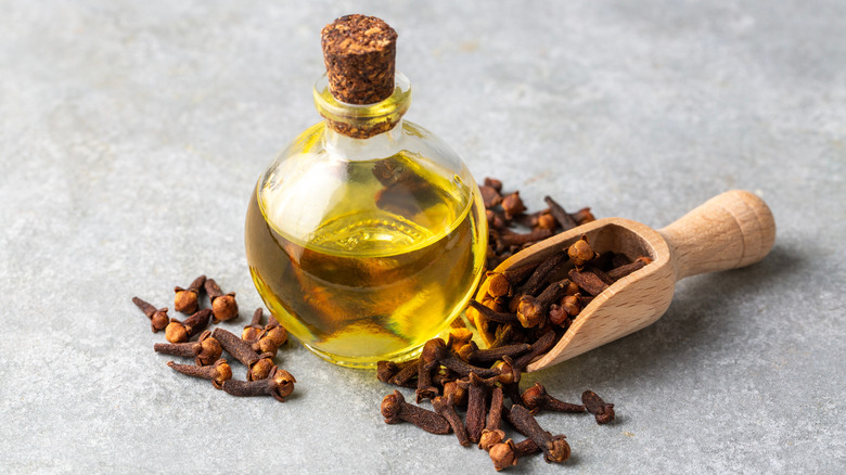 Bottle of clove oil with some scattered cloves in the background.