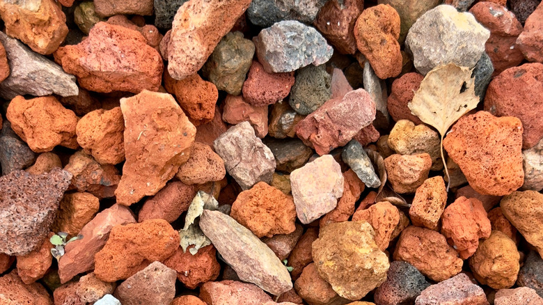 Close up view of red lava rock used in landscaping.
