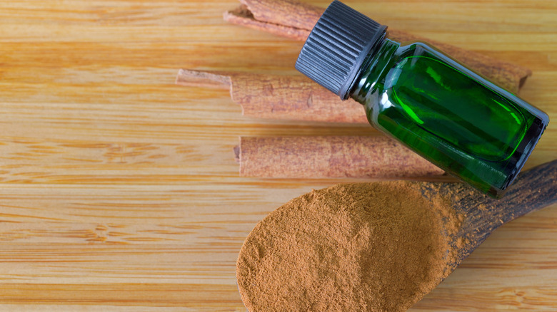 Close up view of cinnamon oil, ground cinnamon in a spoon, and cinnamon sticks on a counter.