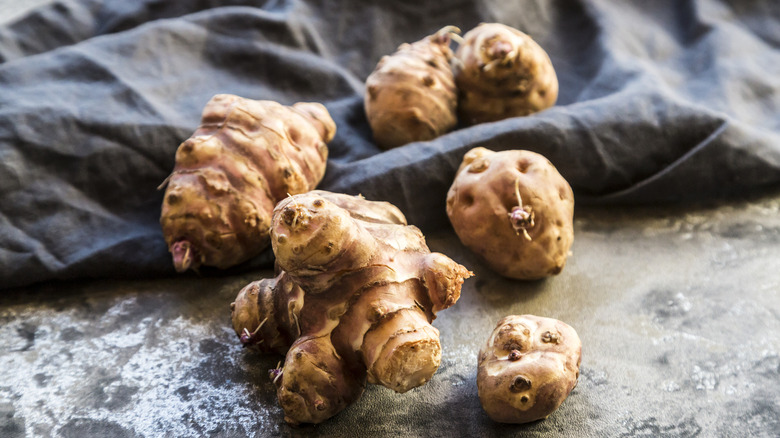 Brown sunchoke tubers on a tarp