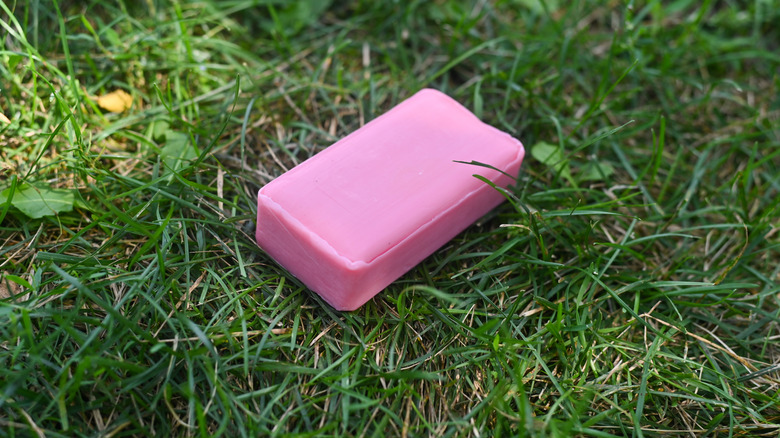 A bar of pink soap lies outside in the grass of a yard.