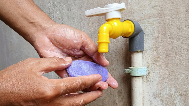 A pair of hands is holding purple soap under an outdoor spigot.