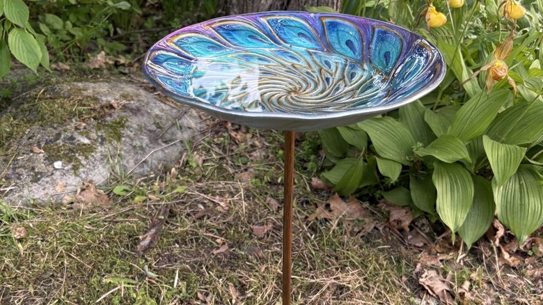 The VCUTEKA birdbath and feeder is set up outside.