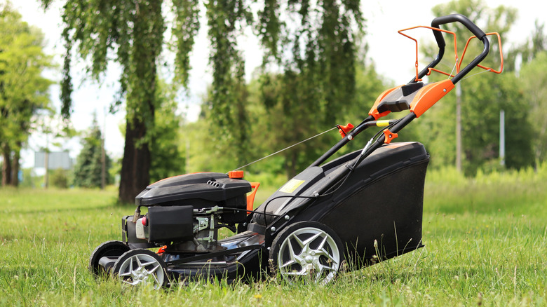 A lawn mower with a grass collection bag is parked on a freshly cut lawn.