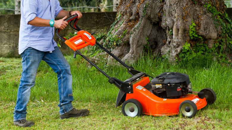 A man uses a red gas-powered push lawn mower to cut grass near a large tree in a backyard.