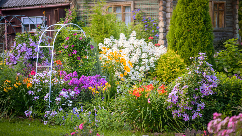 Annuals and perennials bloom in a summer garden.