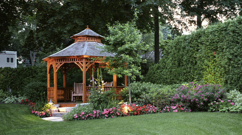 A privacy garden flourishes in a back yard.