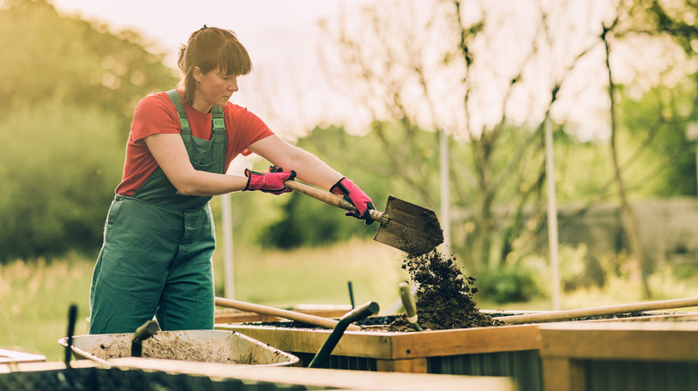 A gardener adds soil to a raised bed.