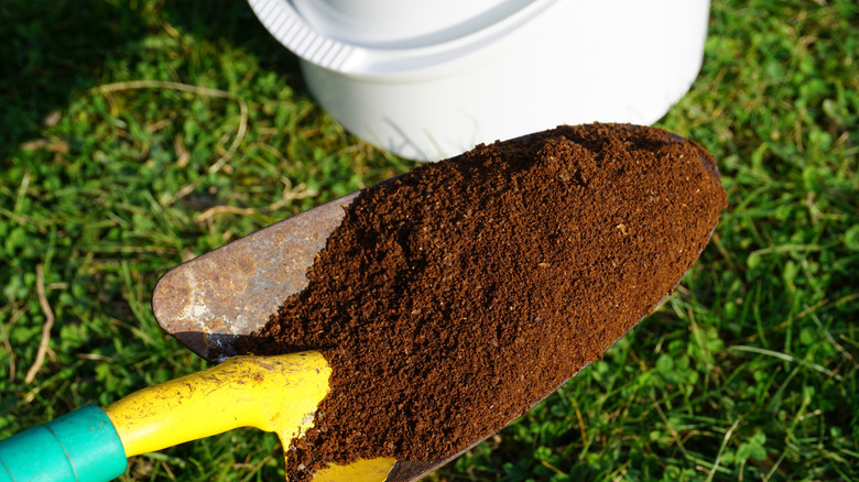 A small shovel full of used coffee grounds are onto a green lawn.