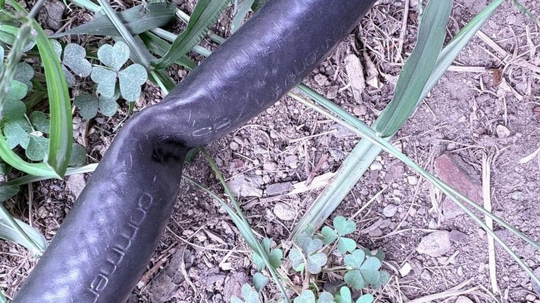 Closeup of a black garden hose with a kink in it against dirt and weeds