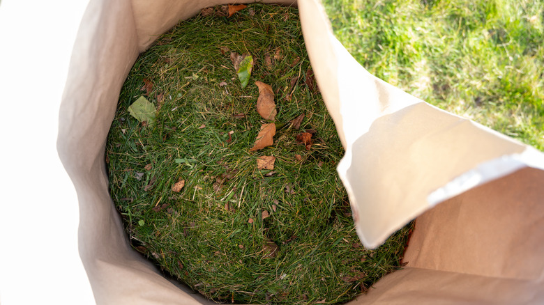 A lawn and leaf bag is half full of green grass clippings.