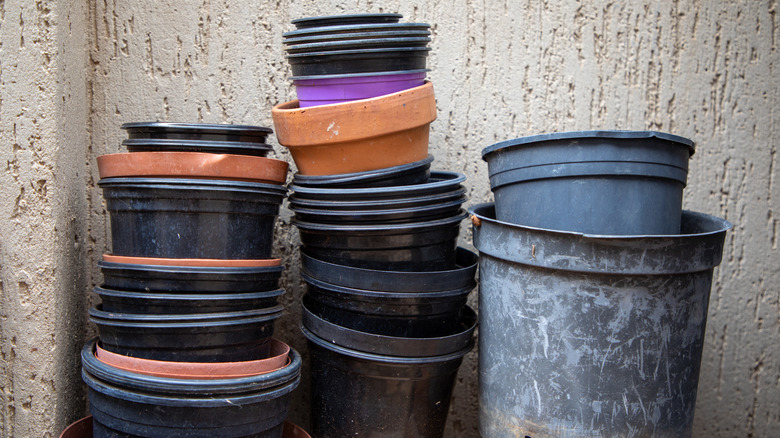 A stack of plastic nursery pots sit against a wall.