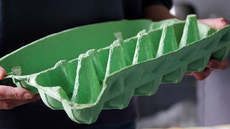 Someone holds an empty green egg carton.