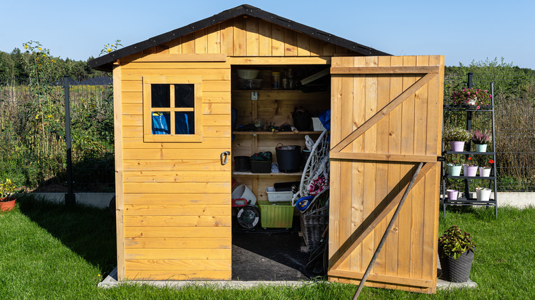 The door of a garden shed stands open.