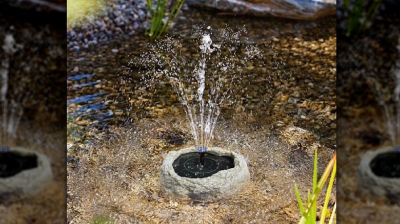 Image of the solar fountain in action with a sparrow perched on it