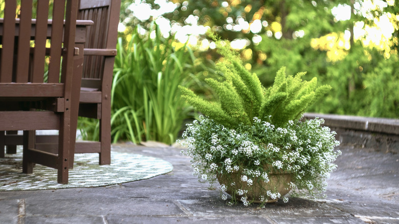 Stone planter with flowering plant sits on patio next to a table and chairs.