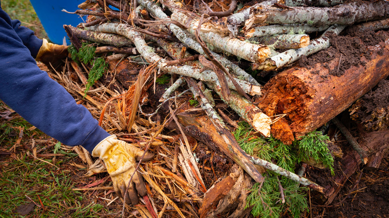 Person builds a hügelkultur bed out of stacked branches and wood chips.