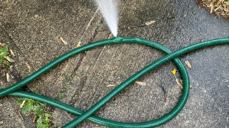 A garden hose springs a leak on a concrete path.