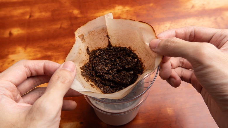 A pair of hands is holding a coffee filter that contains used coffee grounds.