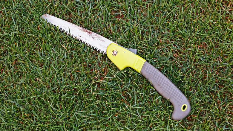 A foldable hand-held pruning saw in the grass.
