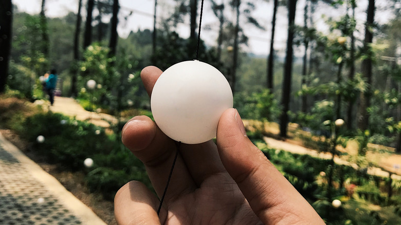 Man holds a ping pong ball.