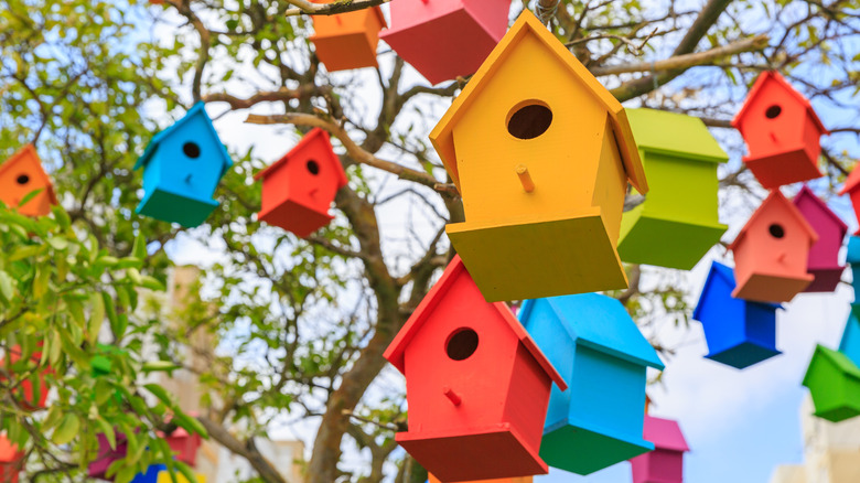 Colorful bird houses hang in a tree.