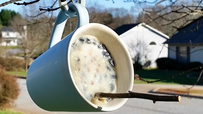 A mug fashioned into a suet-style bird feeder hangs from a tree.