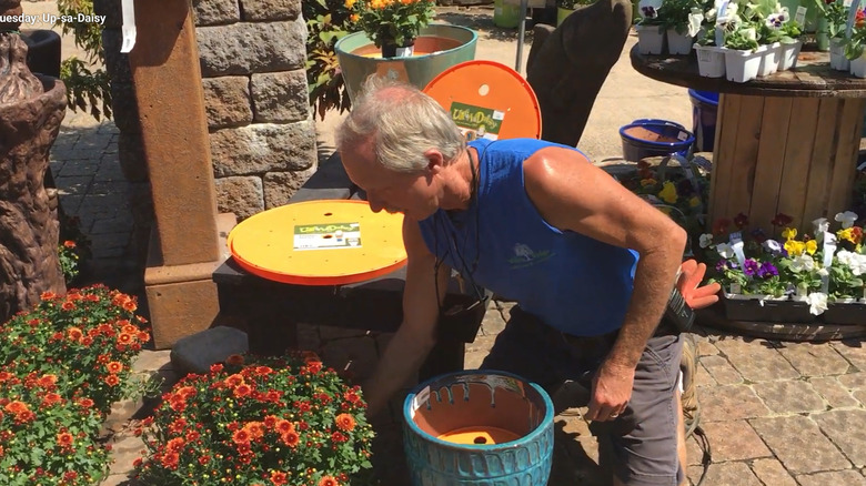 A gardener uses a planter insert in his container garden.