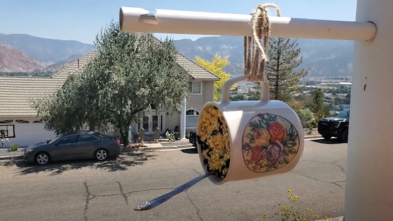 A coffee mug transformed into a suet bird feeder hangs from a pole.